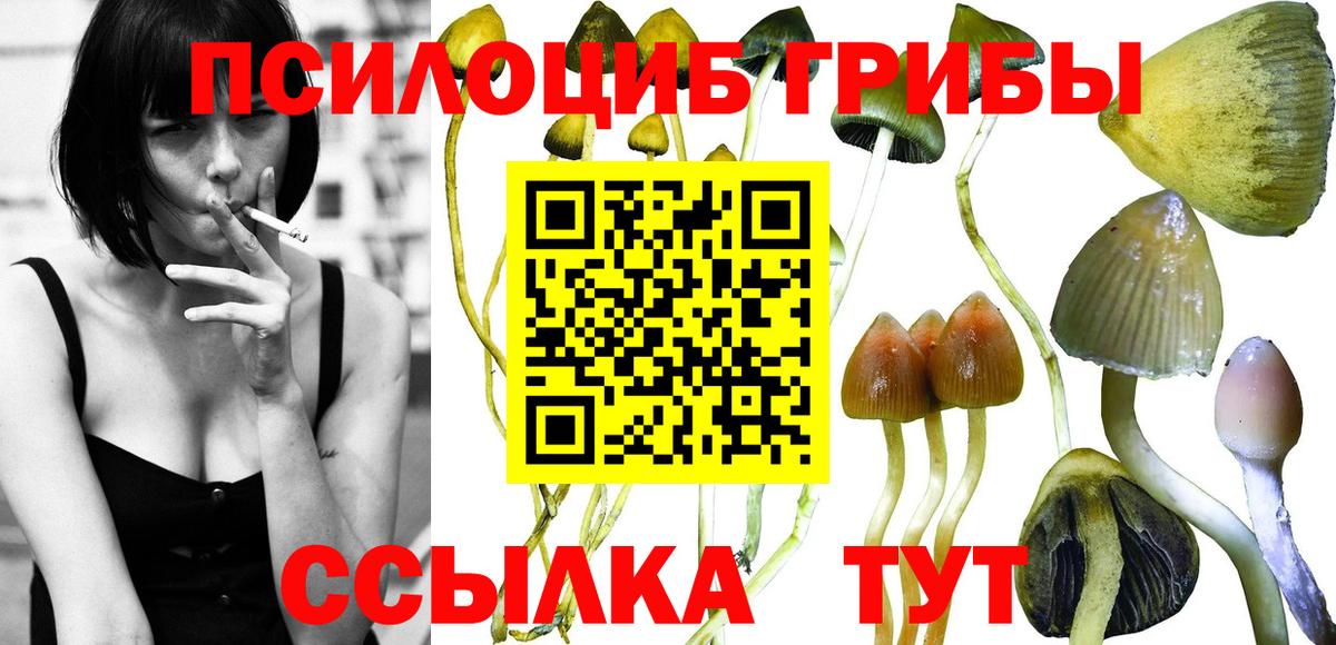 Галлюциногенные грибы Magic Shrooms Междуреченск
