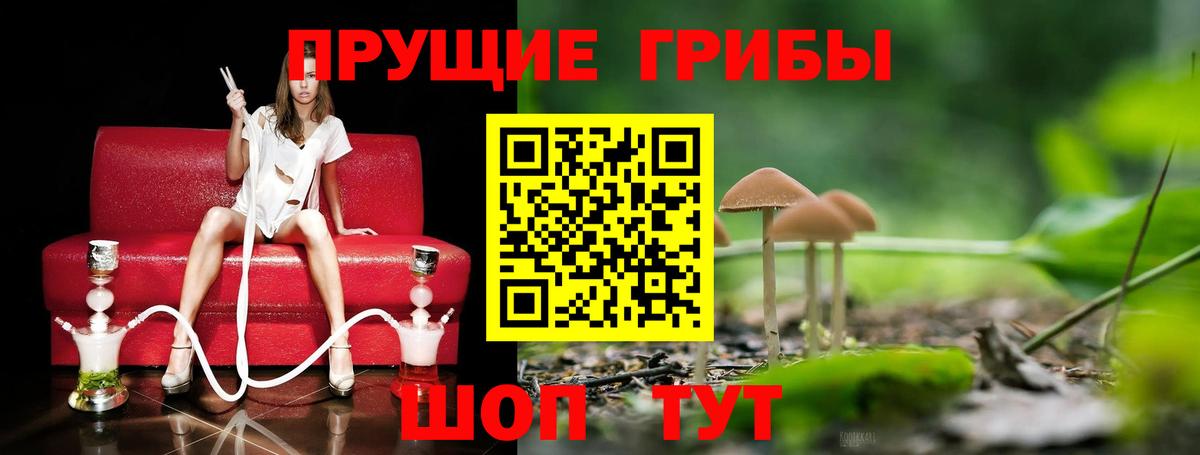 Псилоцибиновые грибы MAGIC MUSHROOMS  Псилоцибиновые грибы MAGIC MUSHROOMS  Вход с VPN  Междуреченск 